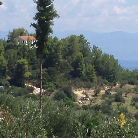 Villa Nadia Vounaria Exterior photo